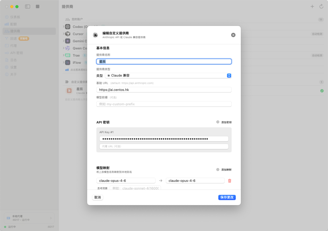 自定义提供商配置
