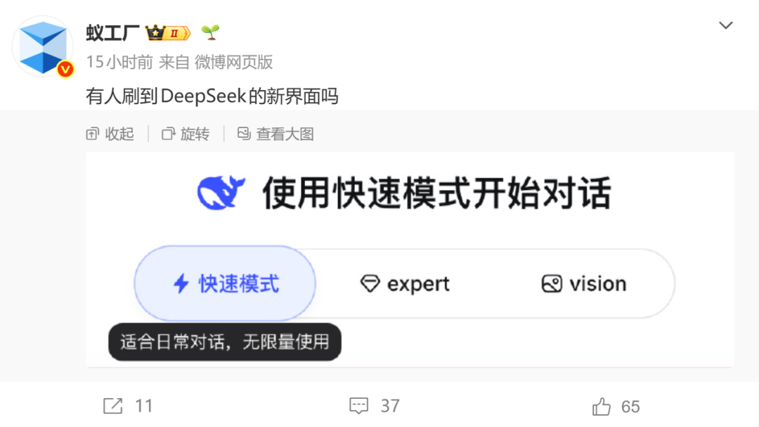 Vision 模式测试界面截图