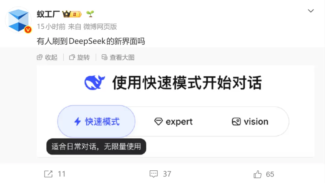 Vision 模式测试界面截图