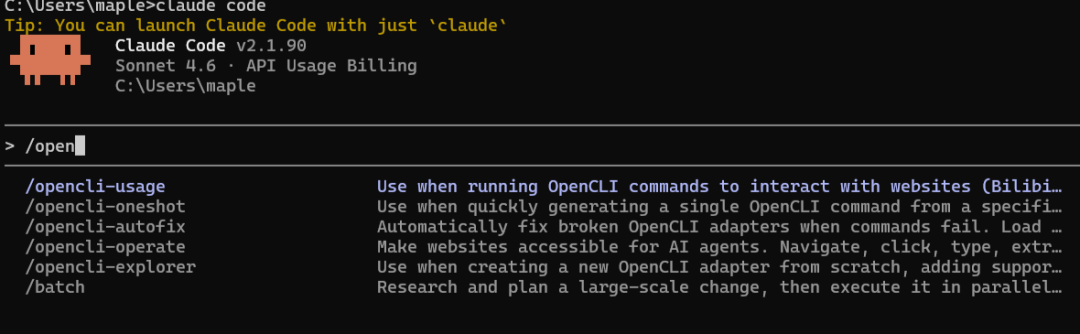 Claude Code 中的 Skills