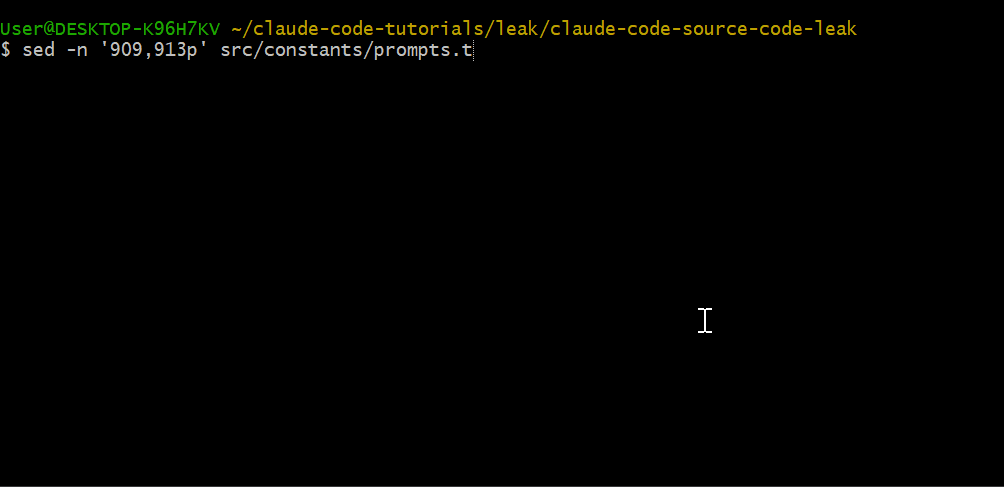 对抗性探针代码截图