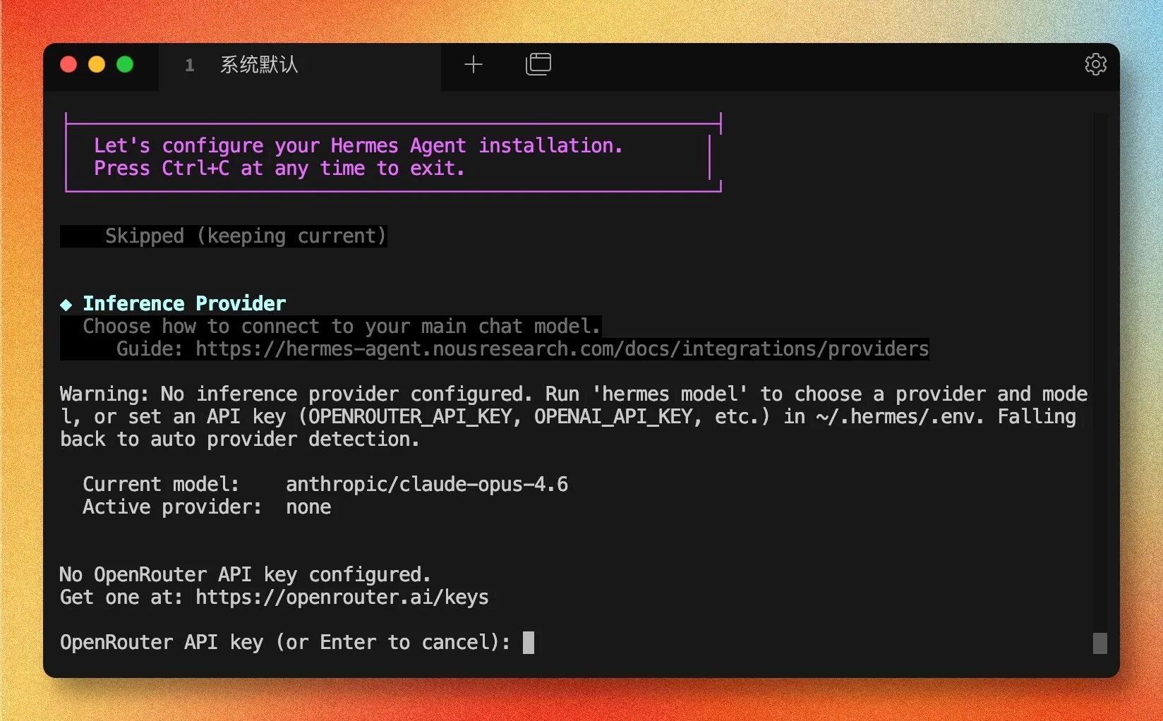 填写 OpenRouter API Key
