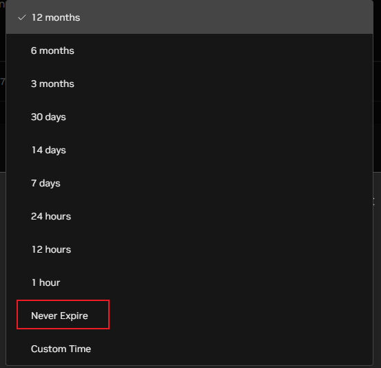 选择永久有效期选项