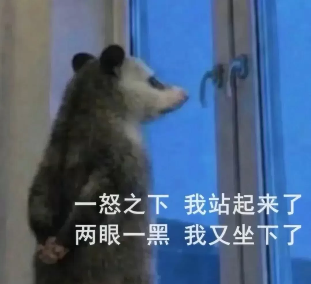 图片 11