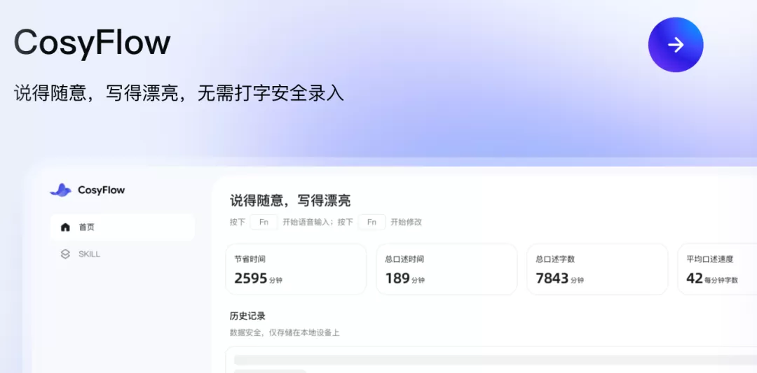 CosyFlow 界面