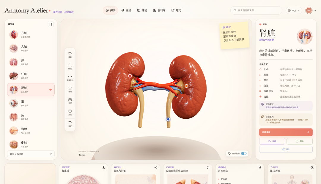 图片 5