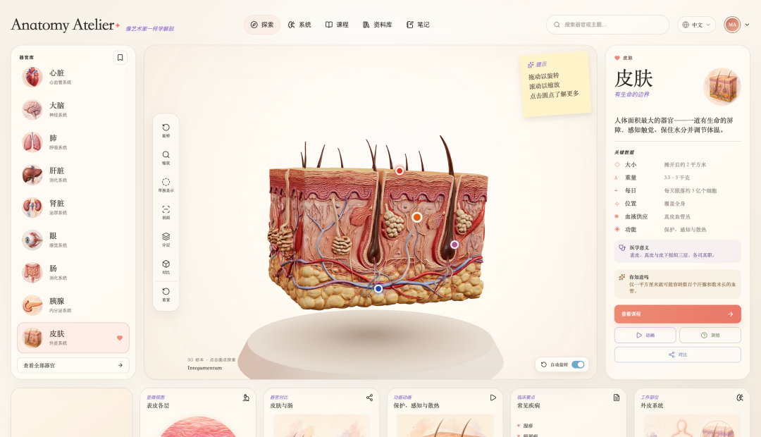 图片 6