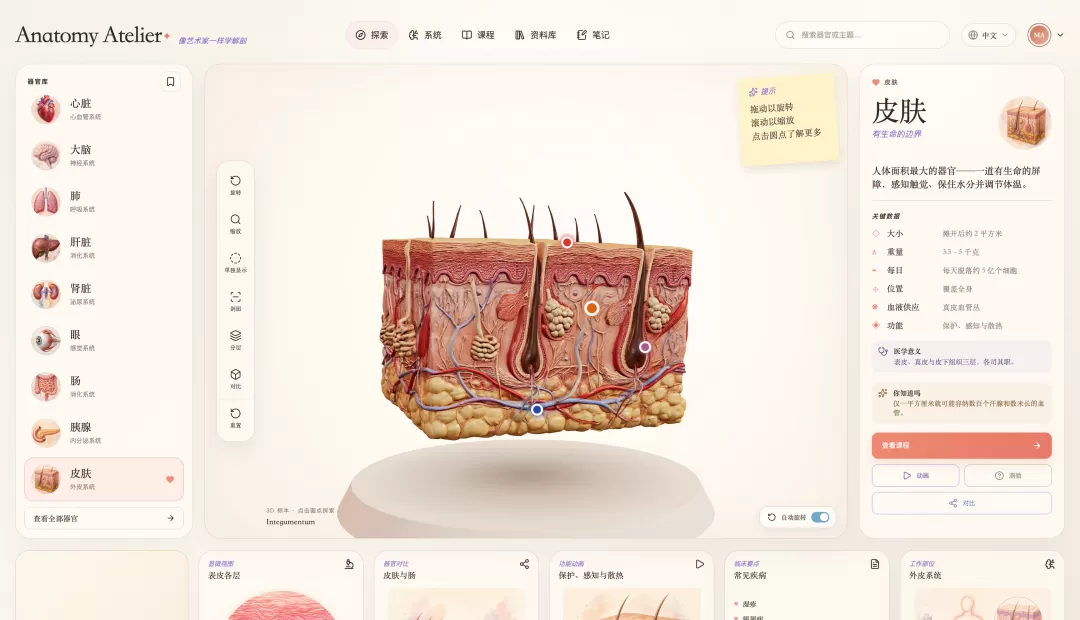图片 6