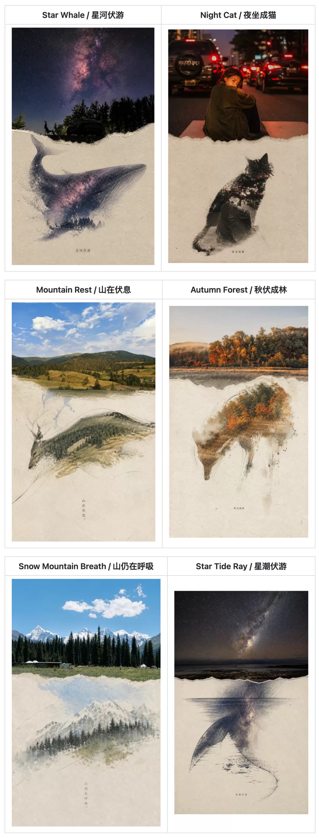 纸张质感 Zine 海报